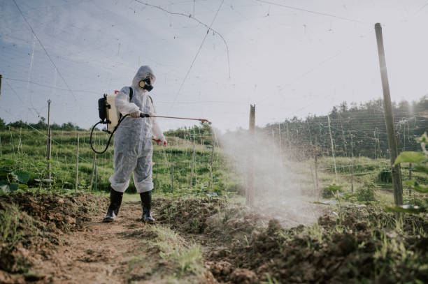 Best Pest Prevention Services  in East Bernard, TX