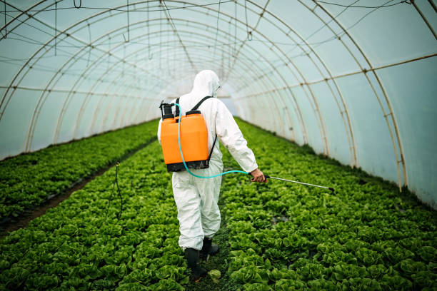 Best Commercial Pest Control Services  in East Bernard, TX