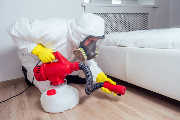 Best Affordable Pest Control Services  in East Bernard, TX