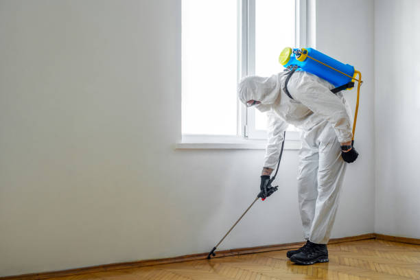 Best Best Pest Control Companies  in East Bernard, TX