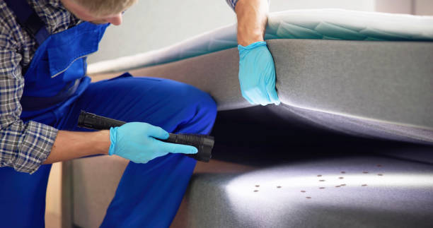 Best Affordable Pest Control Services  in East Bernard, TX