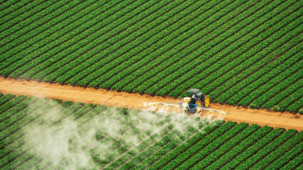 Best Commercial Pest Control Services  in East Bernard, TX