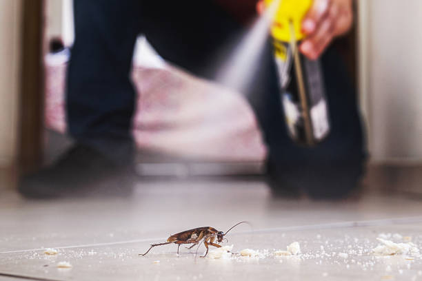 Best Wildlife Control Services  in East Bernard, TX