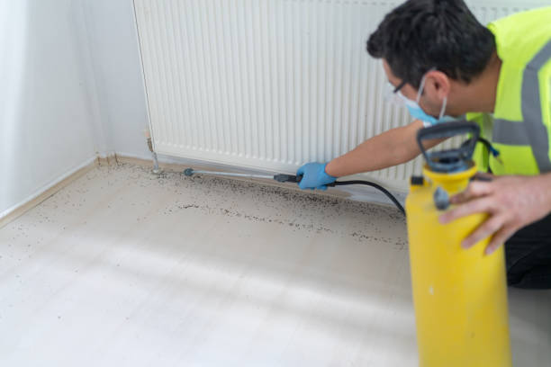 Best Best Pest Control Companies  in East Bernard, TX
